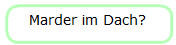 Marder im Dach?
