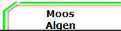 Moos
Algen